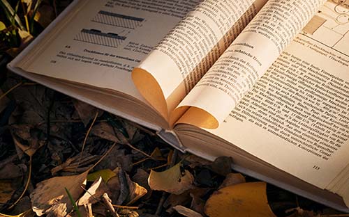 三百多分能考上什么本科大學(三百多分能考上什么本科大學呢)